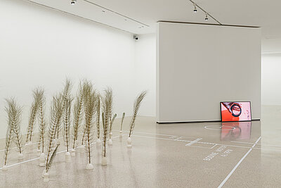 Dried grasses stand in the exhibition room, a screen with a red image can be seen in the background