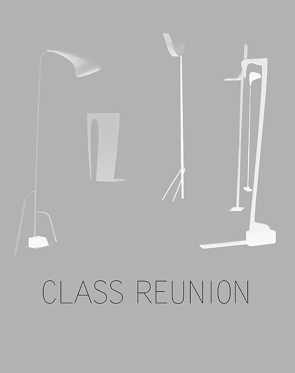 Cover of the publication Class Reunion