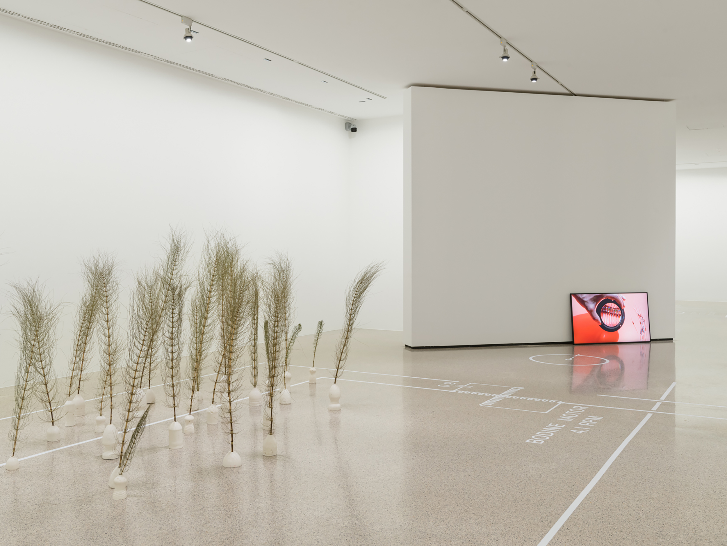 Dried grasses stand in the exhibition room, a screen with a red image can be seen in the background