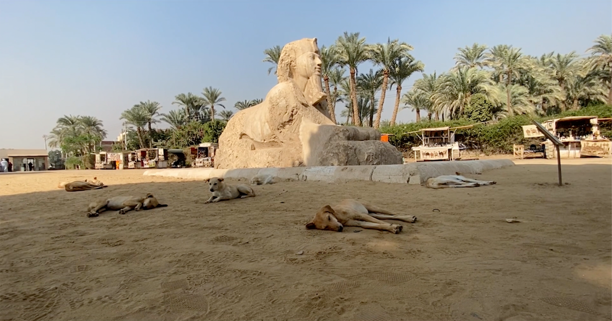 Filmstill: Mariah Garnett, aus / from: Songbook, 2024, Courtesy, © Mariah Garnett - Wüstenlandschaft mit Sphinx, davor schlafende Hunde