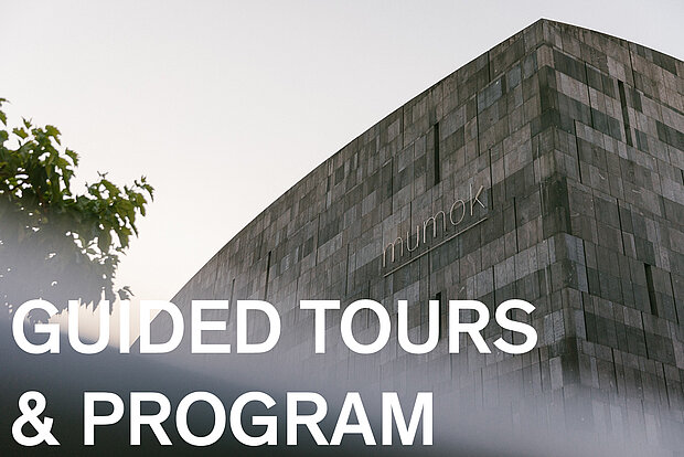 
            
                Guided Tours and Program
            
        