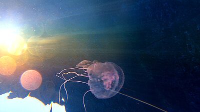 Verena Paravel, Strata, 2026 (Detail)