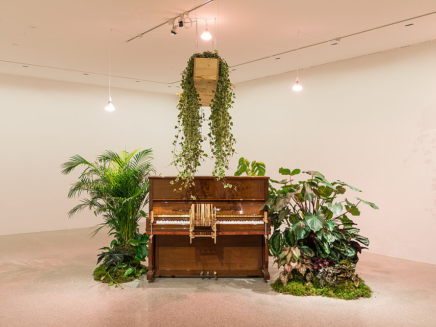 a piano overgrown with plants stands in the showroom.