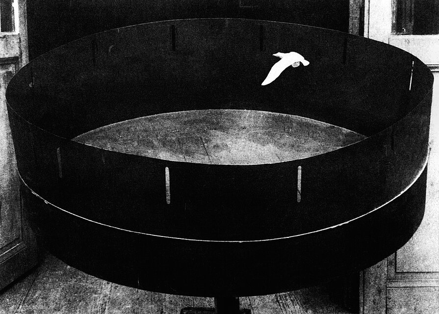 A black-and-white image of a circular zoetrope-like structure with a repeated bird-in-flight figure inside. The object is positioned indoors with surrounding walls visible.