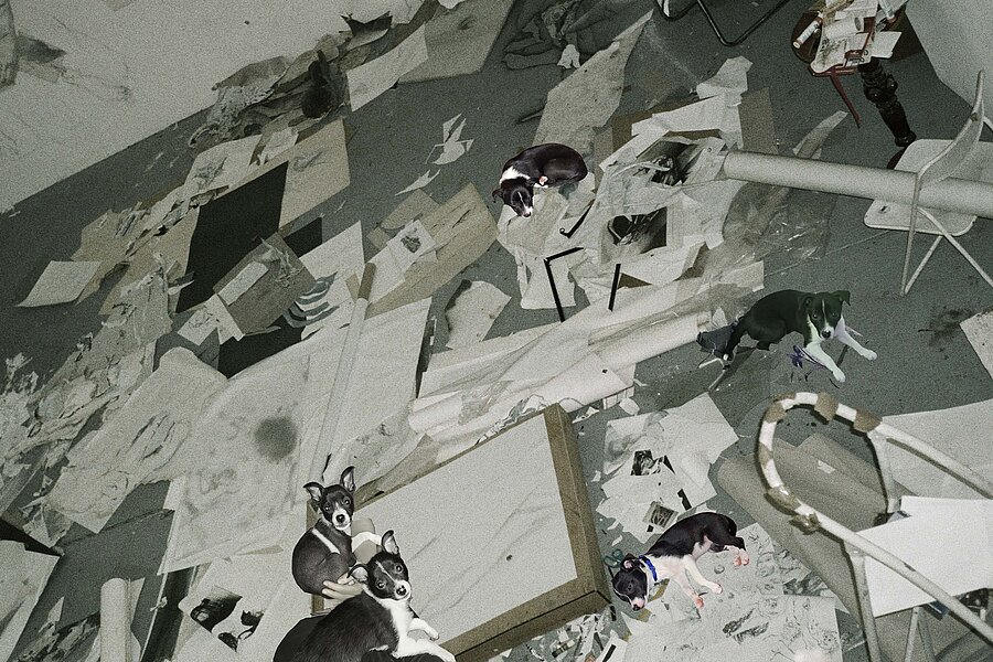 Ungeordneter Atelierraum mit Papierfragmenten, Werkzeugen und mehreren ausgeschnittenen Hundedarstellungen, die auf dem Boden verteilt sind. / Disordered studio space with paper fragments, tools, and multiple cut-out dog figures scattered across the floor.