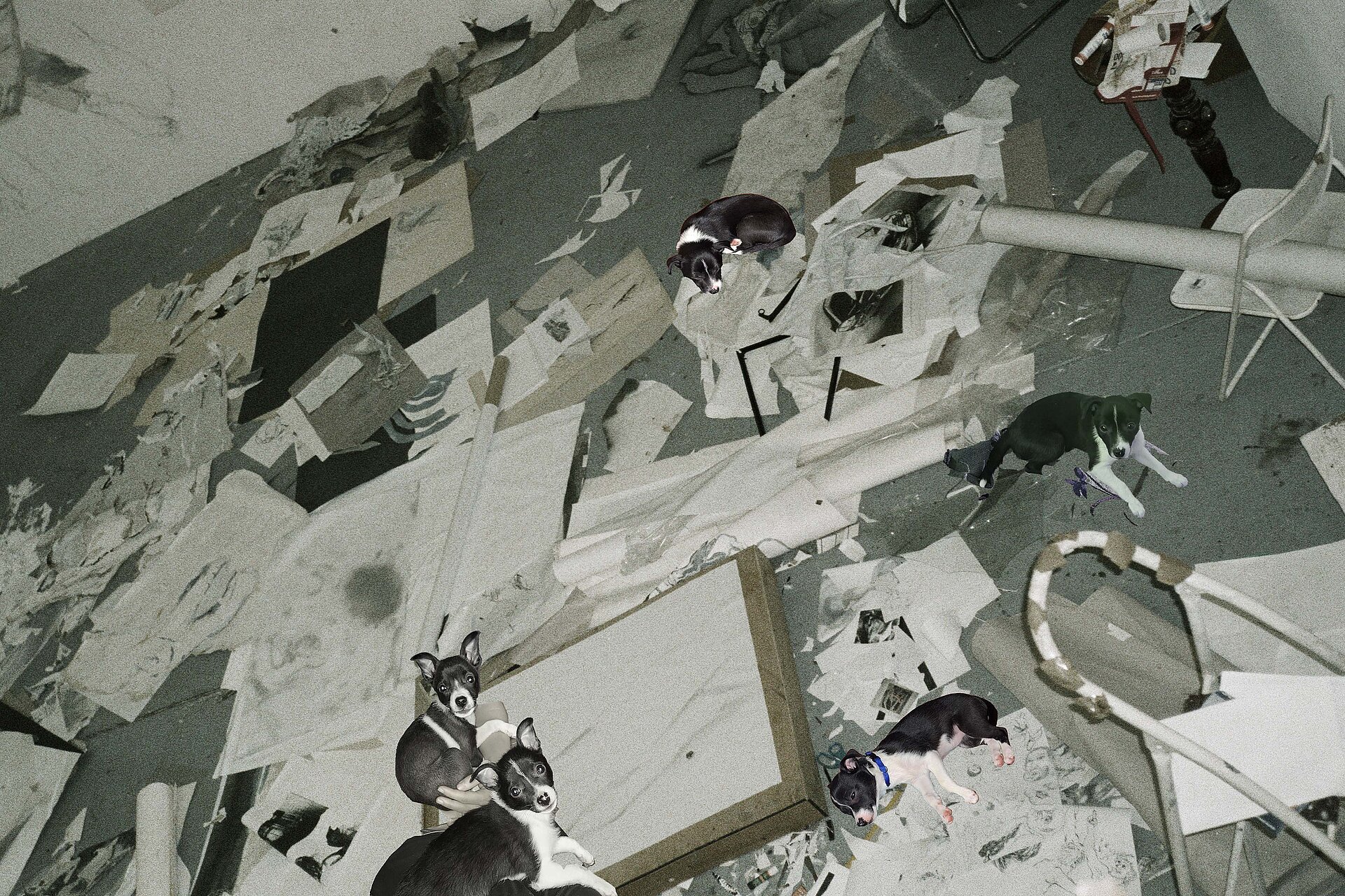 Ungeordneter Atelierraum mit Papierfragmenten, Werkzeugen und mehreren ausgeschnittenen Hundedarstellungen, die auf dem Boden verteilt sind. / Disordered studio space with paper fragments, tools, and multiple cut-out dog figures scattered across the floor.