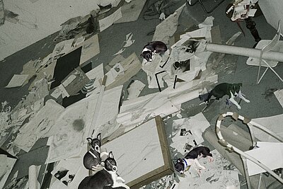 Ungeordneter Atelierraum mit Papierfragmenten, Werkzeugen und mehreren ausgeschnittenen Hundedarstellungen, die auf dem Boden verteilt sind. / Disordered studio space with paper fragments, tools, and multiple cut-out dog figures scattered across the floor.