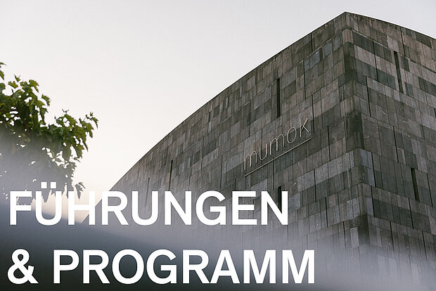 
            
                Führungen und Programm
            
        