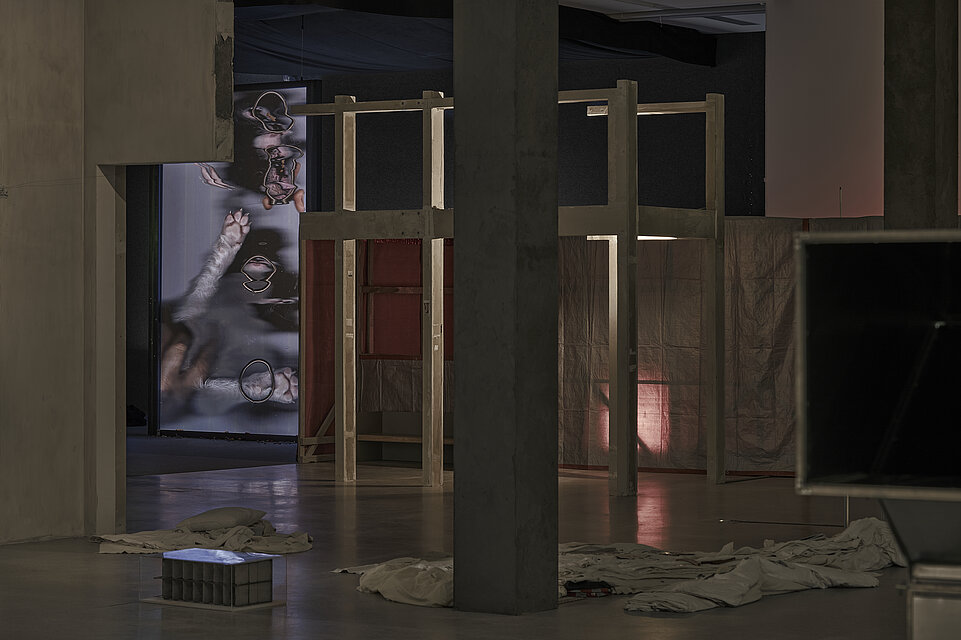 Ausstellungsansicht: Tolia Astakhishvili, Figure of the Child im mumok