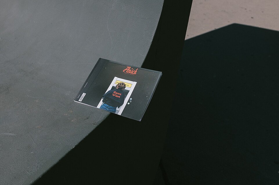 Ein geschlossenes Buch mit schwarzem Umschlag liegt auf einer grauen Oberfläche, das Cover zeigt eine Person von hinten sowie den roten Schriftzug „Ganz Wien“. / A closed book with a black cover lies on a grey surface, the cover showing a person seen from behind and the red text “Ganz Wien”.