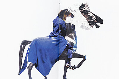 Aufgeschlagenes Buch vor weißem Hintergrund mit einer collageartigen Darstellung einer Figur auf einem Pferd, kombiniert aus fotografischen Fragmenten und Texturen. / Open book against a white background showing a collage-like depiction of a figure on a horse composed of photographic fragments and textures.