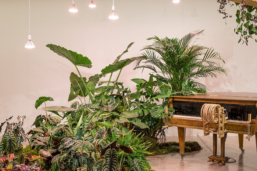 Ein Klavier im Ausstellungsraum, das von links von vielen Pflanzen beinahe überwuchert wird, weitere Pflanzen hängen von der Decke