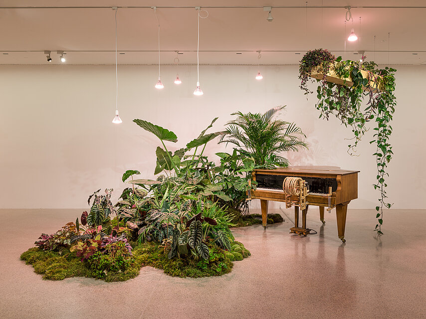 A piano in the showroom, almost overgrown by many plants from the left, more plants hanging from the ceiling.
