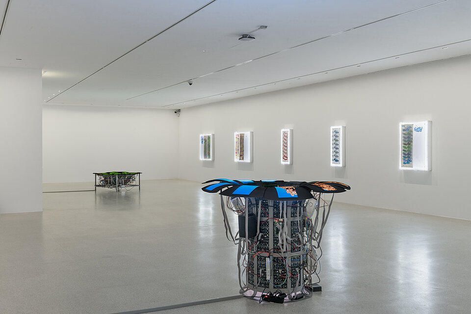 Exhibition View Claudia Pagès Rabal. Feudal Holes