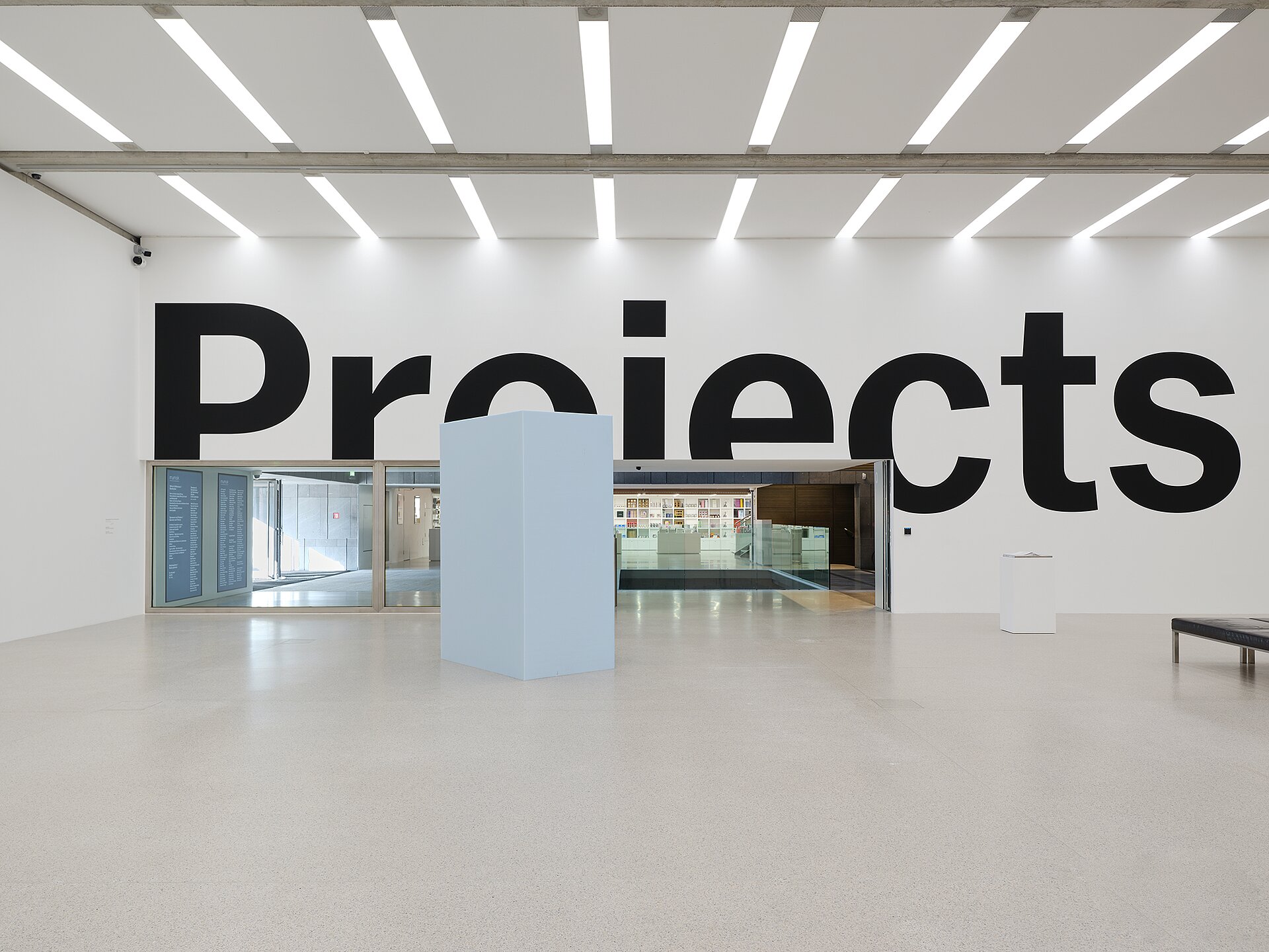 Eine Skulptur aus übergroßen schwarzen Buchstaben, die auf weiße Museumswände gemalt sind. Aus dieser Perspektive liest man „Proiects“, wobei das „j“ von „Projects“ als „i“ erscheint: Einige Buchstaben sind durch die Türen und Ecken der Galerie abgeschnitten. Auf der rechten Seite des Bildes befindet sich eine kleine Skulptur auf einem weißen Sockel. In der Mitte des Bildes verdeckt eine andere rechteckige Skulptur, die viel größer ist und aus pastellblauem Polyurethanschaum besteht, teilweise den gläsernen Eingang der Galerie und den Blick in das Foyer des Museums