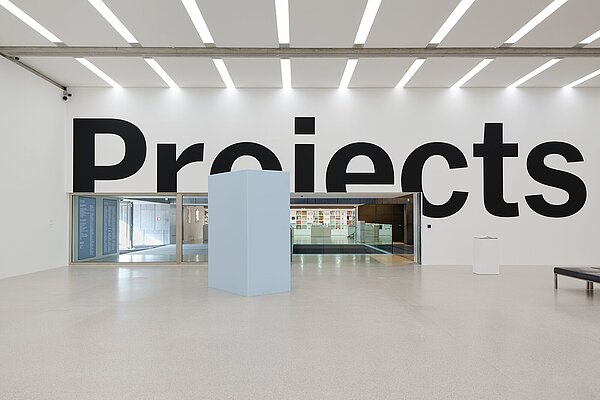 Eine Skulptur aus übergroßen schwarzen Buchstaben, die auf weiße Museumswände gemalt sind. Aus dieser Perspektive liest man „Proiects“, wobei das „j“ von „Projects“ als „i“ erscheint: Einige Buchstaben sind durch die Türen und Ecken der Galerie abgeschnitten. Auf der rechten Seite des Bildes befindet sich eine kleine Skulptur auf einem weißen Sockel. In der Mitte des Bildes verdeckt eine andere rechteckige Skulptur, die viel größer ist und aus pastellblauem Polyurethanschaum besteht, teilweise den gläsernen Eingang der Galerie und den Blick in das Foyer des Museums