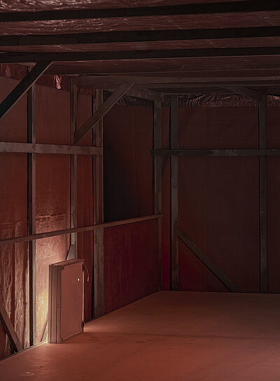 Tolia Astakhishvili, Detail of: Singing out of doors, 2026