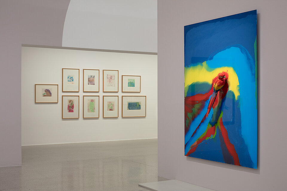 A large-format colourful picture in the foreground with a parrot. Nine drawings in the background.