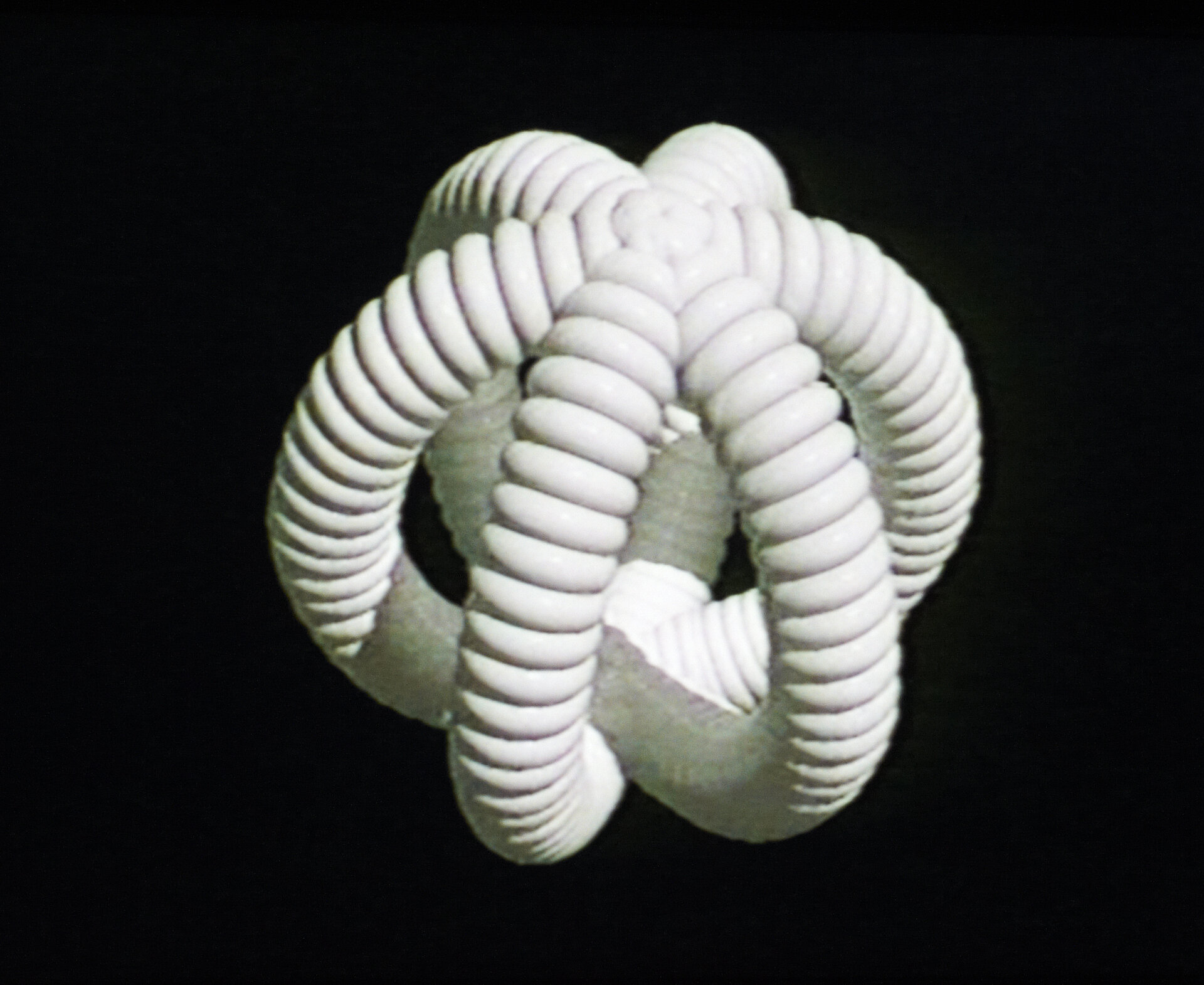 weiße Grafik auf schwarzem Grund