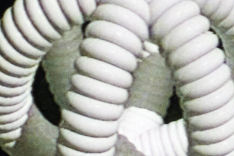 weiße Grafik auf schwarzem Grund