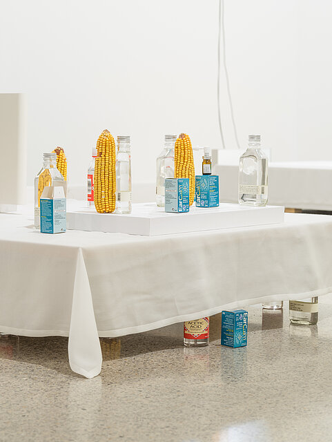 Water bottles, corncobs and small blue boxes are placed at irregular intervals on a white base. 