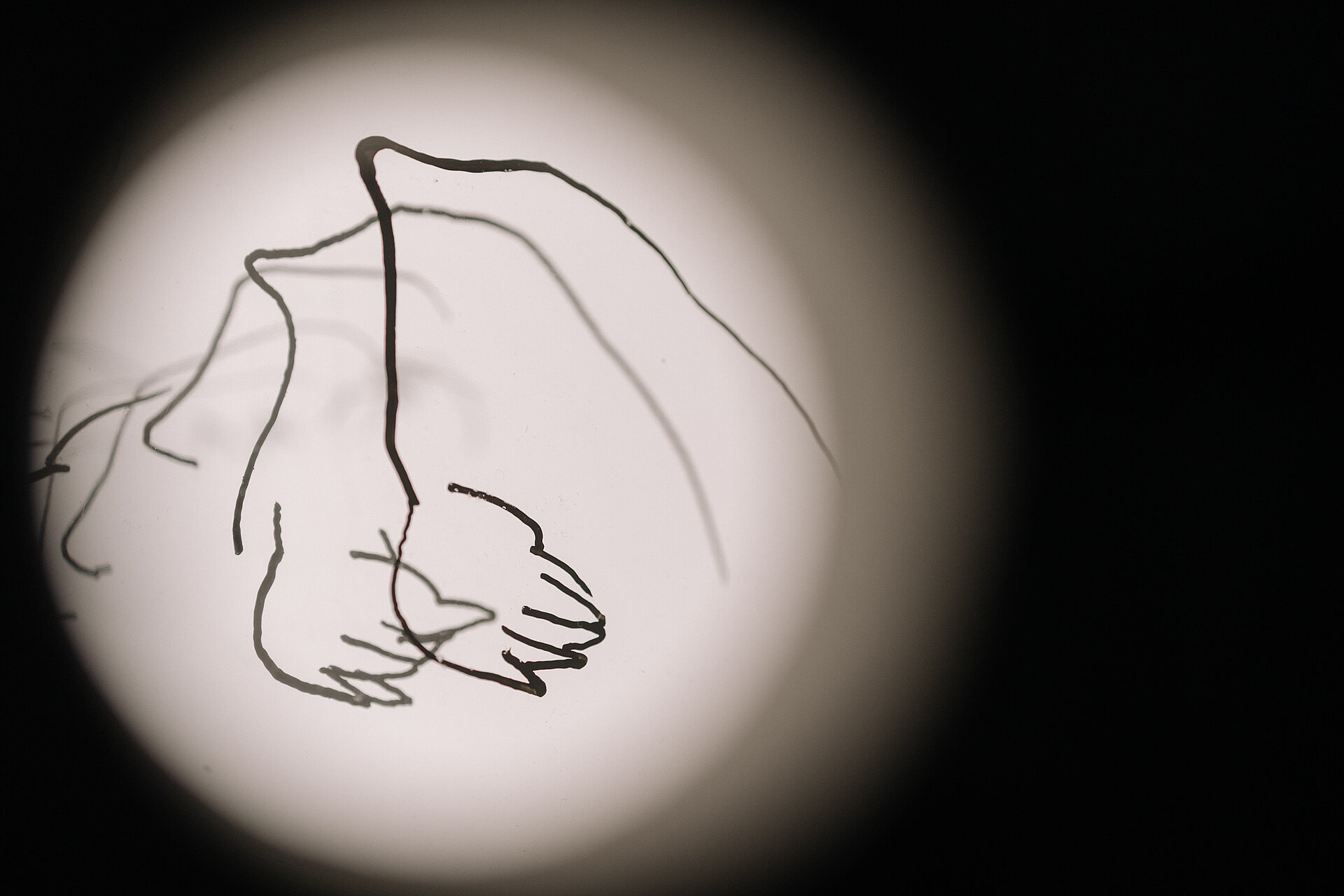 Zeichnung schwarz-weiß / Drawing black and white