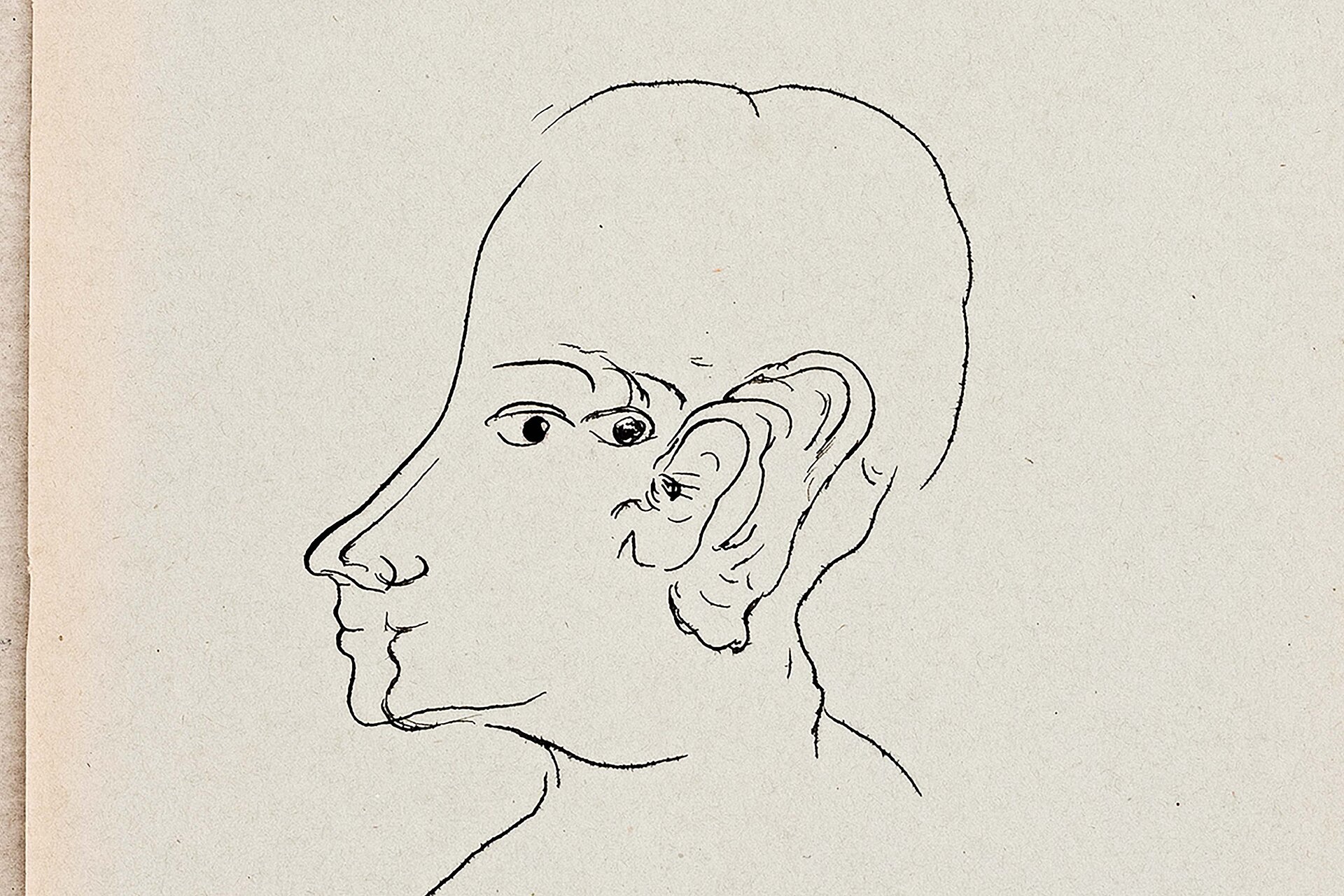 Linienzeichnung eines menschlichen Kopfes im Profil mit stark vereinfachten Gesichtszügen und betontem Ohr auf hellem Papier. / Line drawing of a human head in profile with strongly simplified facial features and a prominent ear on light-colored paper.