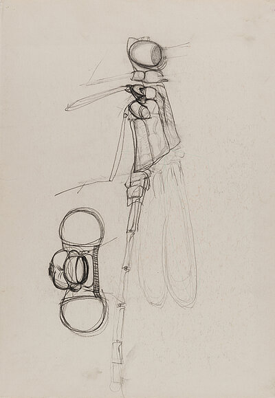 Ştefan Bertalan, Dragonfly, 1970–1972