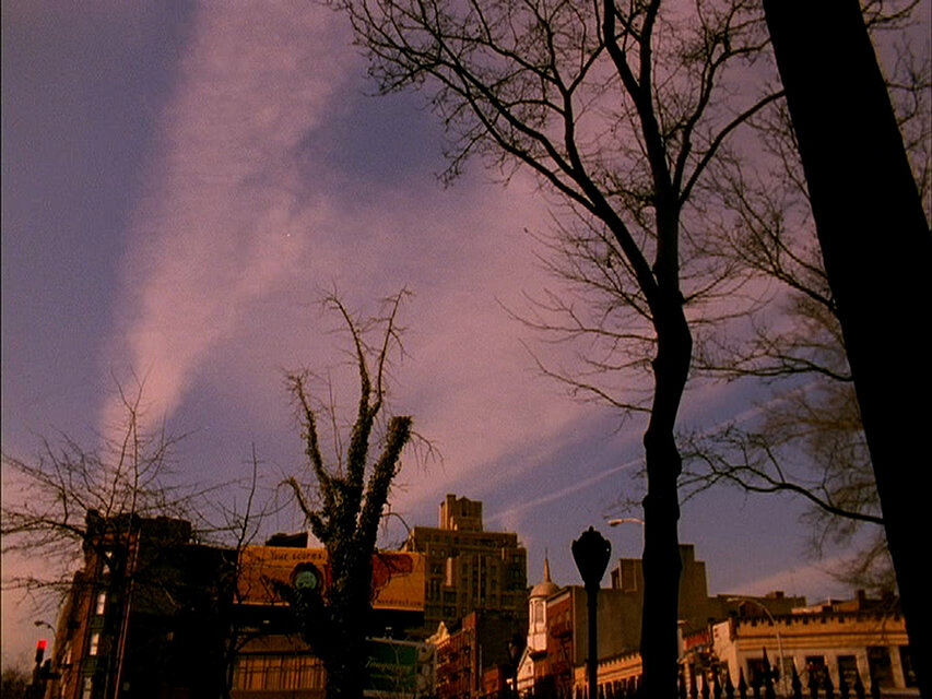 Stadtansicht mit kahlen Bäumen und Gebäuden unter rosa und violett gefärbten Wolken. / Urban skyline with bare trees and buildings beneath pink and purple clouds.
