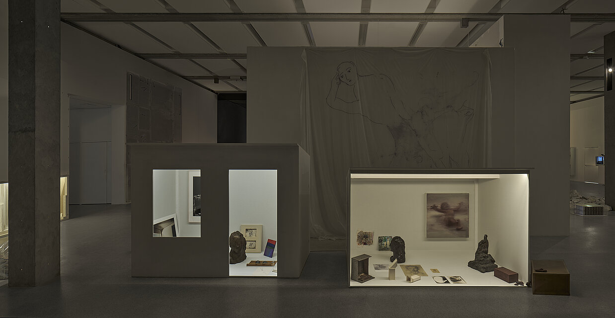 Ausstellungsansicht: Tolia Astakhishvili, Figure of the Child im mumok