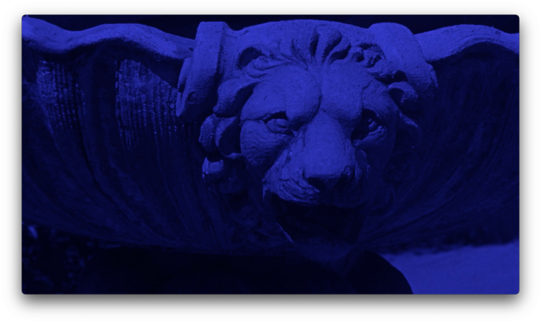P. Staff, Filmstill aus / from: La Nuit Américaine, 2023: blau eingefärbter Löwenkopf