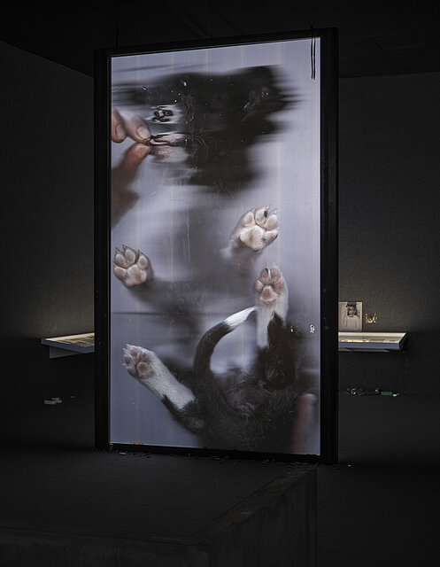 Ausstellungsansicht: Tolia Astakhishvili, Figure of the Child im mumok