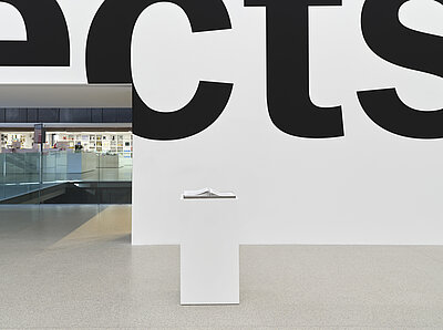 [ID: An artwork showing two pamphlets inside of a stainless tray on a white plinth. The pamphlets’ stapled binding is positioned back to back, creating two slopes and a central peak. The view also shows the gallery’s entrance looking into the museum lobby and a close crop of large black letters on the museum’s white wall spelling "ects."] 