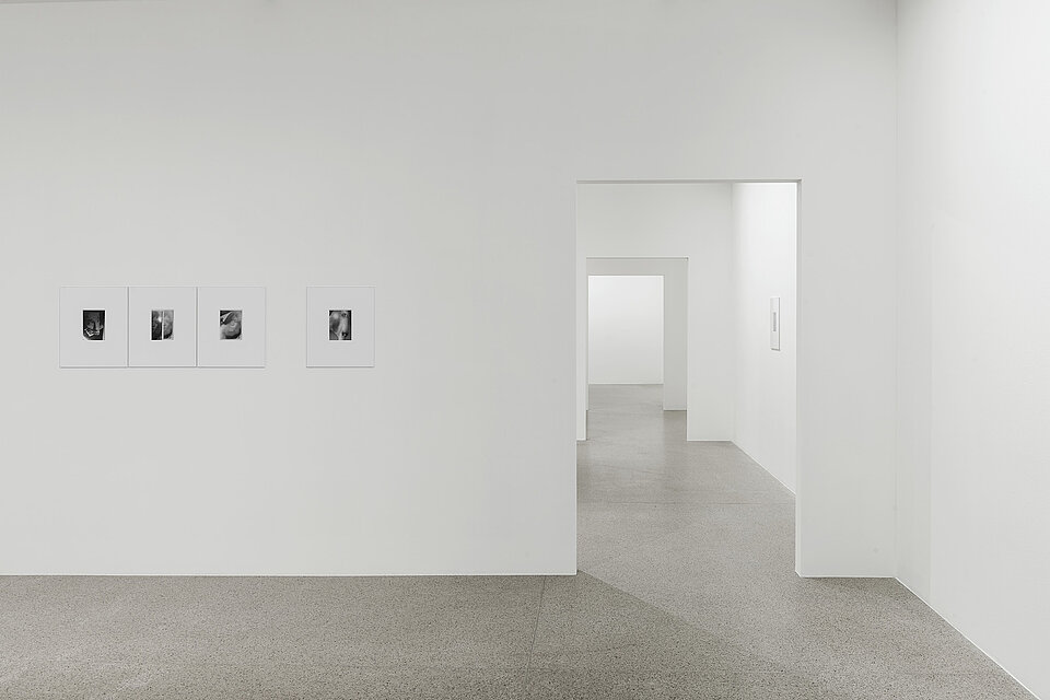 Exhibition View Kazuna Taguchi : I’ll never ask you