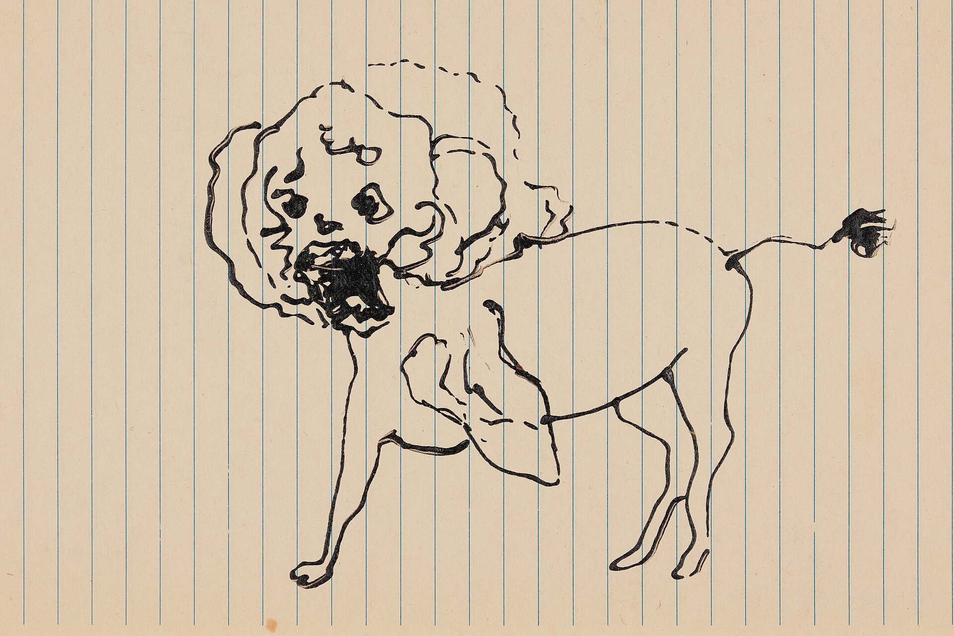 Schwarze Linienzeichnung eines hundeähnlichen Tieres mit erhobenem Kopf auf liniertem Papier mit blauem Raster. / Black line drawing of a dog-like animal with raised head on blue-ruled lined paper.