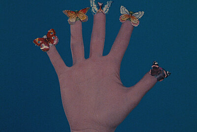 Jack Goldstein, Filmstill aus / from: Some Butterflies, 1975: Eine ausgestreckte Hand vor blauem Hintergrund, auf jedem Finger befindet sich ein Schmetterling