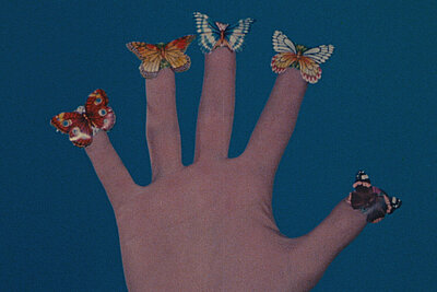 Jack Goldstein, Filmstill aus / from: Some Butterflies, 1975: Eine ausgestreckte Hand vor blauem Hintergrund, auf jedem Finger befindet sich ein Schmetterling