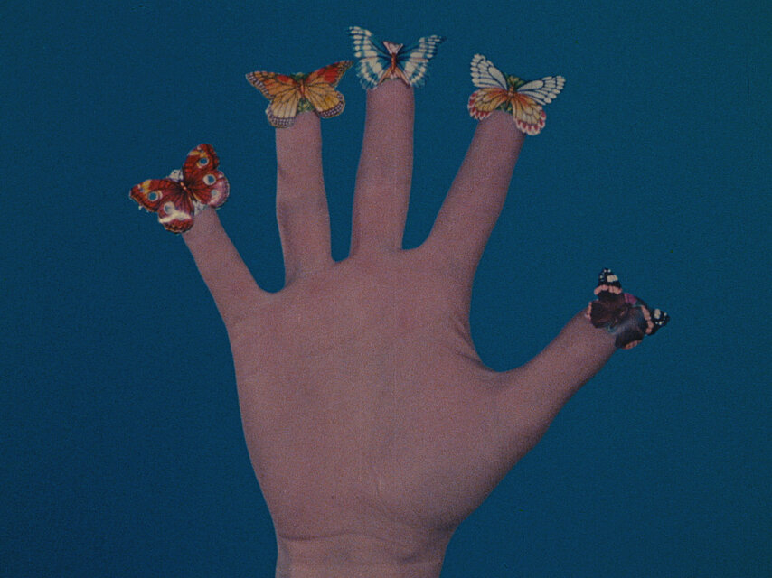 Jack Goldstein, Filmstill aus / from: Some Butterflies, 1975: Eine ausgestreckte Hand vor blauem Hintergrund, auf jedem Finger befindet sich ein Schmetterling