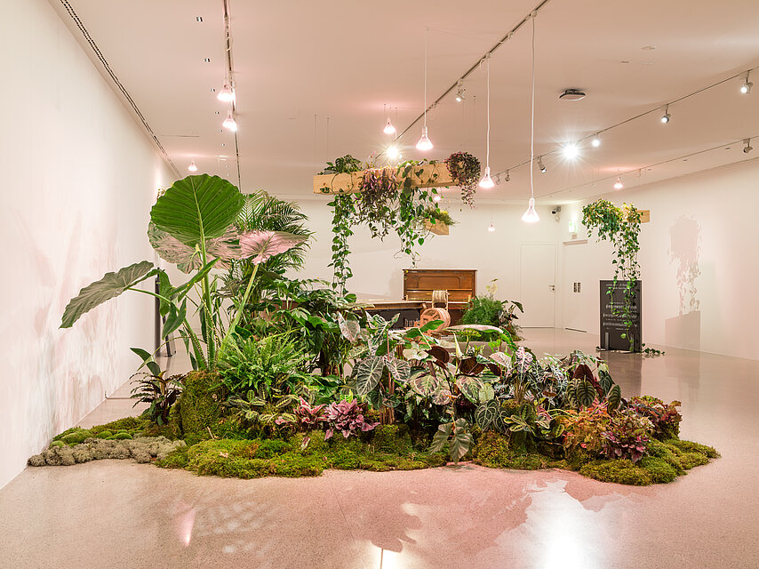 a large accumulation of different plants in the exhibition room, some on the floor, some hanging from the ceiling