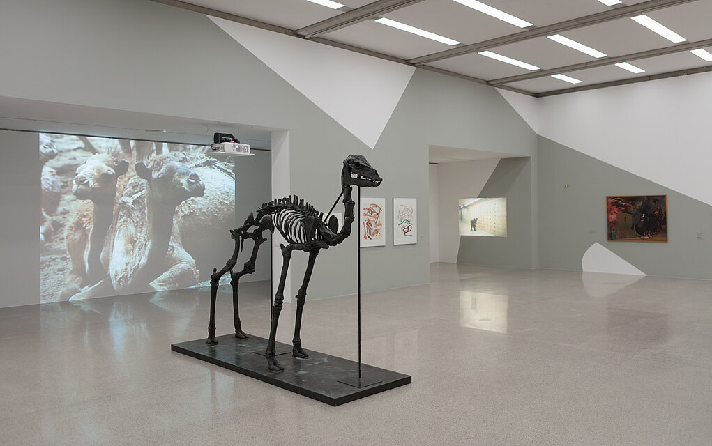 White-grey exhibition walls. In the background on the left is a video projection showing two camels. In the centre is a sculpture in the form of a camel skeleton. Behind it on the right are two pictures with abstract forms and a painting in red, brown and black colours.