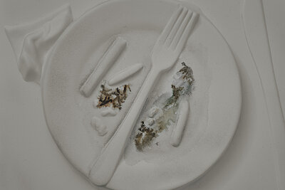 Tolia Astakhishvili, war on my plate II, 2025