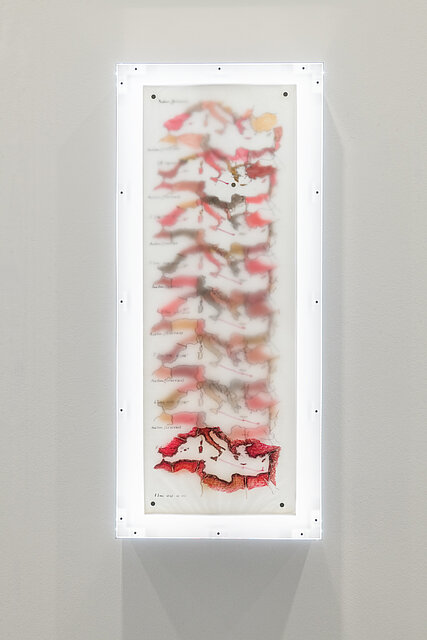 Exhibition View Claudia Pagès Rabal. Feudal Holes