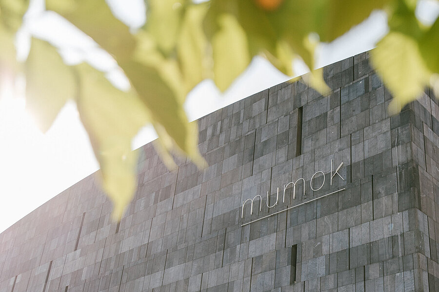 die graue mumok Fassade mit Logo, im Vordergrund sind oben hellgrüne Blätter zu sehen