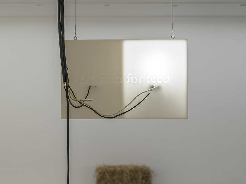 A white sign with the words "eat bran for feed" hangs from the ceiling. Power cables, which also come out of the ceiling, are connected to this sign at various points. There is a bale of straw on the floor in the background.